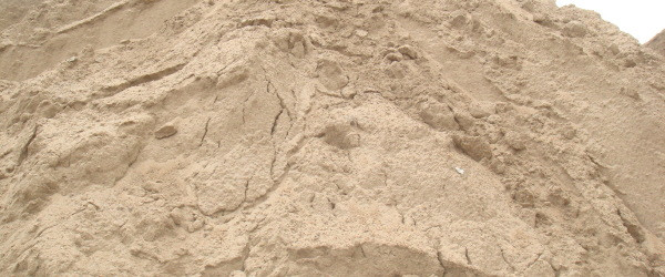 Ảnh minh họa: Internet