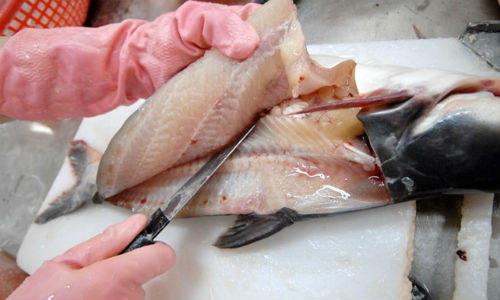 Cá tra vào Mỹ đang gặp khó.