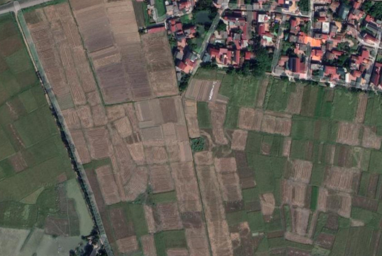 Ảnh chỉ mang tính minh họa