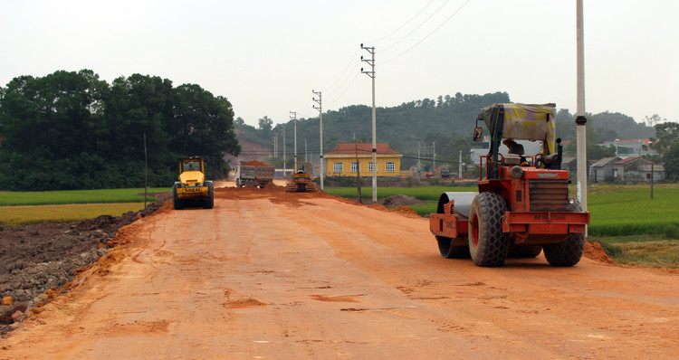 Ảnh minh họa: Internet