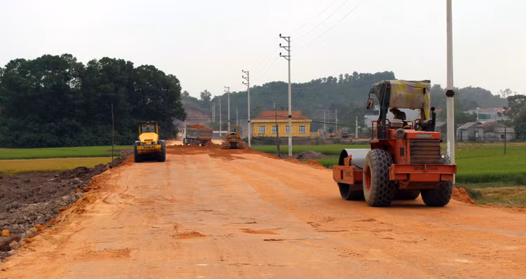 Ảnh minh họa: Internet