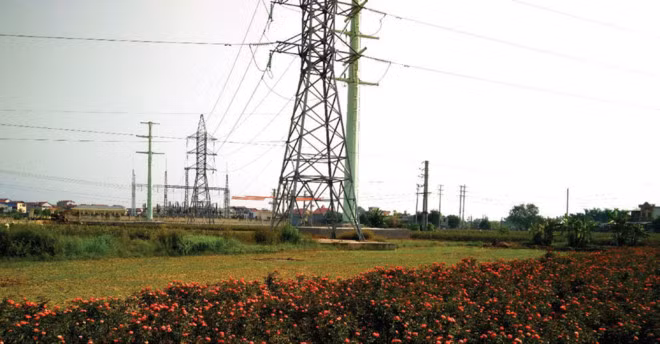 PCC1 hoàn thành hợp đồng xây dựng đường dây 110kV