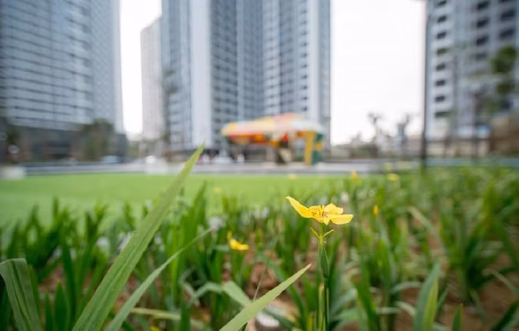 Ảnh chỉ mang tính minh họa. Nguồn Internet