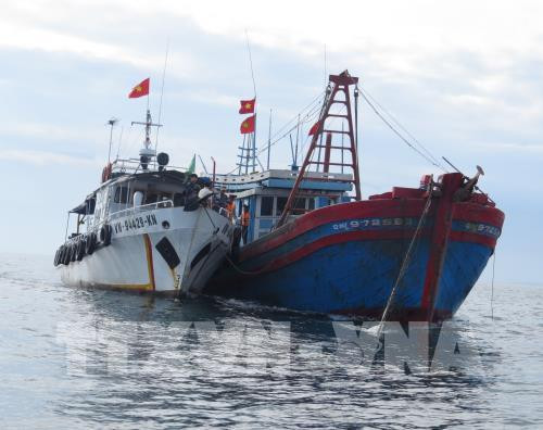 Tàu của lực lượng chức năng Quảng Bình áp sát kiểm tra tàu vi phạm. Ảnh: TTXVN