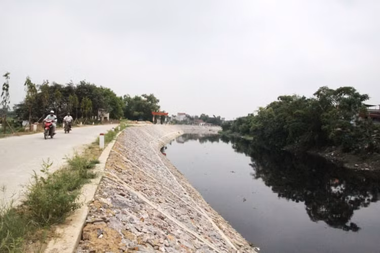 Ảnh chỉ mang tính minh họa. Nguồn Internet