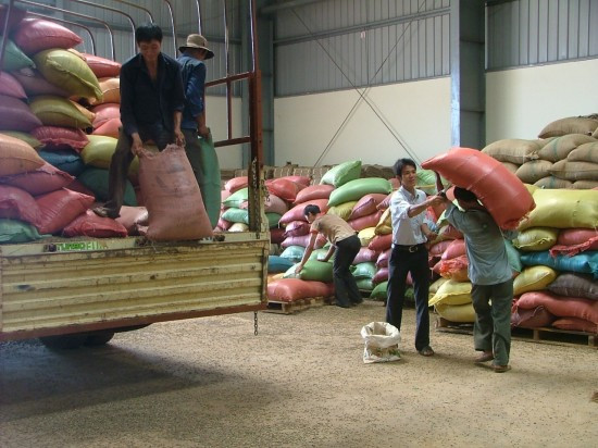 IFC và VPBank bảo lãnh 50 triệu USD cho Tập đoàn Tân Long, góp phần đa dạng hóa hoạt động thu mua nông sản. Ảnh Internet