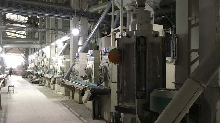 Ảnh chỉ mang tính minh họa. Nguồn Internet