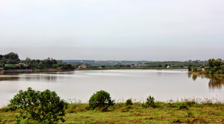 Ảnh minh họa: Internet