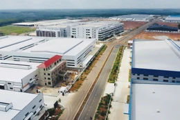 Các cụm công nghiệp của Thành Phương Real được quy hoạch theo hướng đa ngành nhằm tạo nên hệ sinh thái công nghiệp hoàn chỉnh