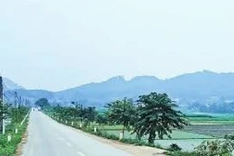 Ngày 18/3/2026, đấu giá quyền sử dụng đất và các tài sản khác gắn liền với đất tại xã Vật Lại, TP. Hà Nội