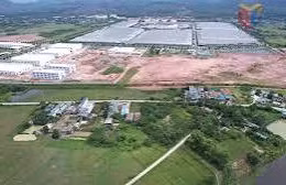 Ngày 17/07/2026, đấu giá quyền sử dụng đất tại phường Móng Cái 3, tỉnh Quảng Ninh