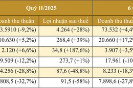 Kết quả kinh doanh của một số doanh nghiệp tôn thép. Nguồn: Báo cáo tài chính hợp nhất của doanh nghiệp - Đơn vị tính: tỷ đồng