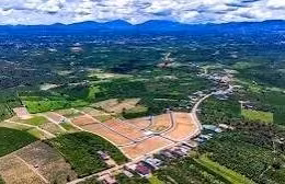 Ngày 18/8/2026, đấu giá 02 quyền sử dụng đất và tài sản gắn liền với đất tại xã Bảo Lâm 1, tỉnh Lâm Đồng