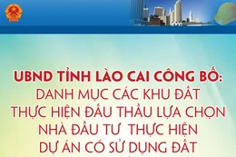 Danh mục các khu đất thực hiện đấu thầu lựa chọn nhà đầu tư thực hiện dự án đầu tư có sử dụng đất trên địa bàn tỉnh Lào Cai