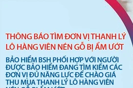 Thông báo tìm đơn vị thanh lý lô hàng viên nén gỗ bị ẩm ướt