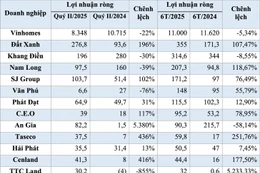 Kết quả lợi nhuận quý II và nửa đầu năm 2025 của doanh nghiệp bất động sản. Nguồn: Báo cáo tài chính hợp nhất của doanh nghiệp - Đơn vị tính: tỷ đồng