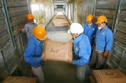 Tiêu thụ xi măng đạt gần 54,56 triệu tấn trong 6 tháng đầu năm 2025, tăng 27% so với cùng kỳ năm trước. Ảnh: Song Lê