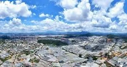 Ngày 20/11/2025, đấu giá quyền sử dụng đất tại phường Hàm Thắng, tỉnh Lâm Đồng