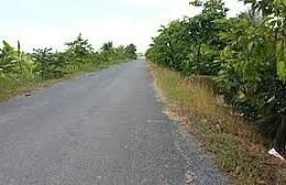 Ngày 04/02/2026, đấu giá quyền sử dụng đất chuyên trồng lúa nước tại xã Tuyên Bình, tỉnh Tây Ninh