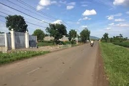 Ngày 30/01/2026, đấu giá quyền sử dụng đất, quyền sở hữu nhà ở và tài sản khác gắn liền với đất tại xã Xuân Đông, tỉnh Đồng Nai