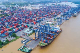 8 tháng đầu năm 2025, tổng kim ngạch xuất khẩu đạt 305,96 tỷ USD, tăng 14,8% so với cùng kỳ năm trước. Ảnh: Tiên Giang