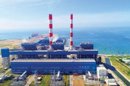 Năm 2026, Nhà máy Nhiệt điện Vĩnh Tân 4 tổ chức đấu thầu 4 gói cung cấp than nhập khẩu để phục vụ sản xuất điện với tổng dự toán hơn 7.000 tỷ đồng. Ảnh EVN