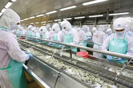 Tính từ đầu năm đến hết ngày 15/2/2026, tổng trị giá xuất khẩu hàng hóa đạt 63,64 tỷ USD, tăng 33,7% so với cùng kỳ năm 2025. Ảnh: Tấn Tiên