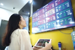 Thị trường chứng khoán Việt Nam đang có nhiều động lực thúc đẩy tăng trưởng nhờ câu chuyện nâng hạng và tăng trưởng GDP cao. Ảnh minh họa: Tiên Giang