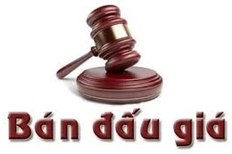 Ngày 08/8/2025, đấu giá tàu tuần tra HQ19-91-79 đã qua sử dụng tại tỉnh Quảng Trị
