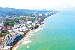 Dự thảo Luật bổ sung quy định hoạt động giám sát, kiểm tra là hoạt động quản lý nhà nước về quy hoạch. Ảnh: Lê Tiên