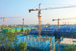 Luật Xây dựng sửa đổi phân định rõ trách nhiệm của các chủ thể tham gia hoạt động xây dựng và hoàn thiện cơ chế quản lý chi phí, hợp đồng xây dựng. Ảnh: Lê Tiên