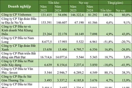 Tồn kho và nợ vay của một số doanh nghiệp bất động sản. Nguồn: báo cáo tài chính doanh nghiệp, đơn vị tính: tỷ đồng