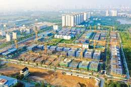 Một số nội dung của Luật Kinh doanh bất động sản có sự giao thoa, chồng chéo nhất định với các luật khác, làm tăng gánh nặng thủ tục cho doanh nghiệp. Ảnh: Lê Tiên