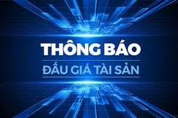 Ngày 05/03/2026, đấu giá tài sản kê biên của Thi hành án dân sự tỉnh Ninh Bình