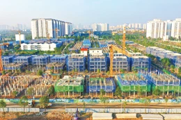 Các dự án giao thông chiến lược, hạ tầng đô thị, y tế, giáo dục, năng lượng… được triển khai đồng loạt trong năm 2026 sẽ tạo ra nguồn việc ổn định, quy mô lớn cho doanh nghiệp xây dựng. Ảnh: Xuân Mộc