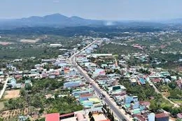 Ngày 26/12/2025, đấu giá quyền sử dụng đất tại xã Đạ Huoai 2, tỉnh Lâm Đồng