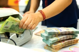 Chính phủ điều chỉnh kế hoạch đầu tư công trung hạn vốn ngân sách trung ương giai đoạn 2021 - 2025 giữa một số bộ, cơ quan trung ương, địa phương. Ảnh: Tiến Tân