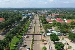 Ngày 09/04/2026, đấu giá quyền sử dụng đất tại xã Kim Long, TP. HCM