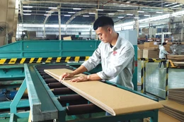 Bộ Tài chính đã chủ động nghiên cứu, đề xuất các chính sách miễn, giảm, giãn thuế, phí, lệ phí, tiền thuê đất để hỗ trợ doanh nghiệp, người dân khoảng 1,1 triệu tỷ đồng. Ảnh: Tuấn Anh