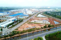 Không xóa nợ đối với tiền sử dụng đất, tiền thuê đất, tiền chậm nộp và tiền phạt của tiền sử dụng đất, tiền thuê đất. Ảnh: Lê Tiên