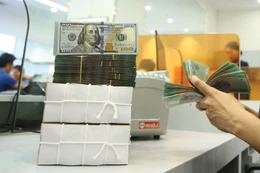 Tỷ giá có xu hướng tăng do căng thẳng quân sự leo thang tại khu vực Trung Đông. Ảnh: Nhã Chi