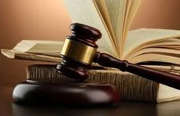 Ngày 28/07/2025, đấu giá toàn bộ tài sản gắn liền với đất thuộc Trung tâm văn hóa thể thao vui chơi giải trí và giáo dục mầm non Sao Mai Hòa Bình