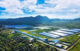 Ngày 08/05/2026, đấu giá Quyền sử dụng đất, quyền sở hữu nhà ở và tài sản khác gắn liền với đất tại xã Tân Hội, tỉnh Tây Ninh