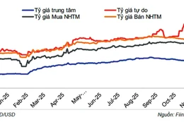 Diễn biến tỷ giá USD/VND trên thị trường