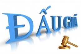 Ngày 15/12/2025, đấu giá khoản nợ của Công ty Cổ phần Hạ tầng Đông Á tại BIDV - Chi nhánh Thành Đô