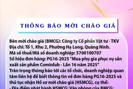 Công ty cổ phần Vật tư - TKV thông báo mời chào giá đơn hàng PG16-2025 