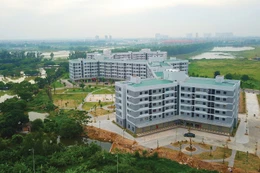 Nhiều dự án nhà ở xã hội sẽ được khởi công vào dịp 19/12/2025. Ảnh: Lê Tiên