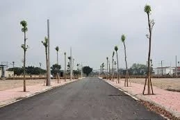 Ngày 20/12/2025, đấu giá quyền sử dụng đất ở tại TP. Hà Nội