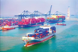 Tổng trị giá xuất nhập khẩu hàng hóa của Việt Nam lũy kế từ đầu năm đến hết ngày 15/7/2025 đạt 470,63 tỷ USD, tăng 16,2% so với cùng kỳ năm 2024. Ảnh: Đông Giang