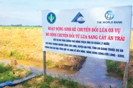 Dự án Chống chịu khí hậu và chuyển đổi tổng hợp vùng Đồng bằng sông Cửu Long gồm 4 hợp phần chính, triển khai tại Tây Ninh, Đồng Tháp, Vĩnh Long và TP. Cần Thơ. Ảnh: Nguyên Ninh